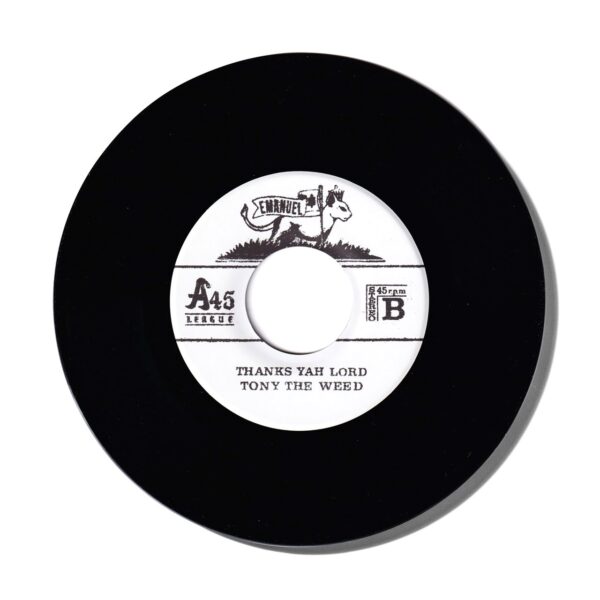 KAMISHIMETE/紅桜'7インチ – Analoged